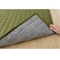 イケヒコ・コーポレーション コルムGN約200×250cm 1291300000000 1枚