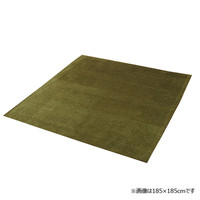 イケヒコ ラグ 洗える 無地カラー 選べる7色 『モデルノ』 グリーン 約200×250cm 1292340126502 1枚（直送品）