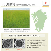 イケヒコ 置き畳 国産 半畳 『かるピタ』 グリーン 約82×82cm（裏：滑りにくい加工） 9枚セット（直送品）