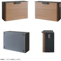 宮武製作所 メールボックス TEER ティール 幅350×奥行165×高さ255mm ブラウン MB-1300M_BR 1台（直送品）