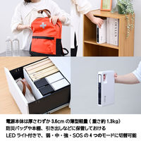 BigBlue フラットパワーステーションシステム ポータブル電源+34W ソーラーパネルセット CP110(PW) 1台