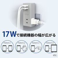 トップランド 電源タップ 3個口 USBーA充電ポート(2個口)付 3.4A 雷ガード 抗菌 STPP500-GR 1個
