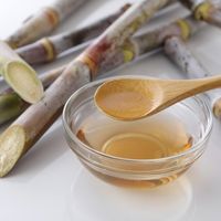 さとうきび酢　雅二扇 600ml 1本 大東製糖 食酢 お酢