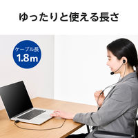 エレコム ヘッドセット 両耳カナル型有線 マイクアーム付き USBーA ブラック HSーEP21SUBK 1個（直送品）