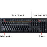 サンワサプライ 日本語109キーボード ブラック SKB-109PBK 1台（わけあり品）