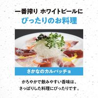 ビール キリン一番搾り ホワイトビール 缶 500ml 2ケース(48本)