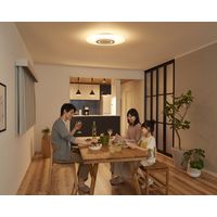 アイリスオーヤマ LEDシーリングライト 導光板 調光調色 8畳 4200lm CEA-A08DLP 1台