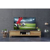 アイリスオーヤマ 4Kチューナー内蔵 液晶テレビ 55V型 LUCA QLED 55XＱUC35 1台（直送品）