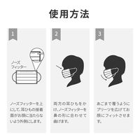 MSソリューションズ 不織布マスク ウルトラシルキー グレー ふつうサイズ(個包装) 50枚入/箱 PL-FM03GYU50E 1箱(50枚入)