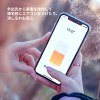 ネイチャー 【限定商品】Nature Remo mini 2 Premium REMO-2B2 1個（直送品）