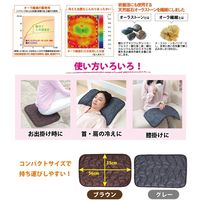 富士パックス販売 オーラ岩盤キルト極 部分浴ブラウン fp20129101 1セット(2個入)（直送品）