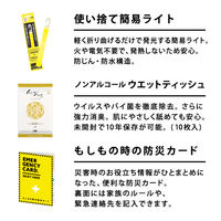 【防災セット】 ファシル MUST HAVE L 8489 10点セット 1セット