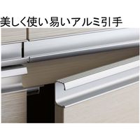 【軒先渡し】フナモコ キッチンストッカー 幅605×奥行445×高さ1800mm リアルウォールナット SSD-607 1台（直送品）