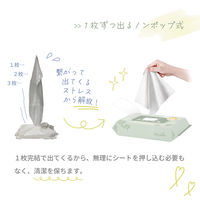 ウェットシート 超厚手ウェットシート 除菌ノンアルコールタイプ 本体 1セット（40枚入×4パック） ETPI