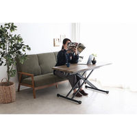 【軒先渡し】東馬 KRM 昇降テーブル 幅1200×奥行600×高さ240mm ブラウン 54686110 1台（直送品）