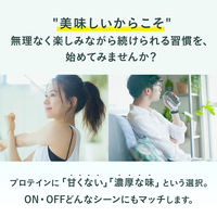 おやつカンパニー　プロテインスナック サワークリームオニオン味　ボディスター　 1セット（1袋（40g）×12）