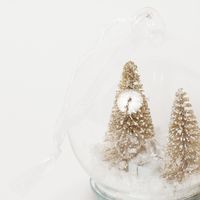 クリスマス　LEDガラスドームオーナメント(S) LAKOLE/ラコレ