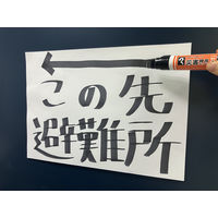 寺西化学 マジックインキ災害時用マーカー極太・中字 MSGCーT1ー2P 1パック（2本入）