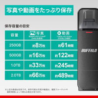 バッファロー USB3.2 TypeーC/Aスティック型SSD 2.0TB ブラック SSD-SD2.0U3-BA 1個