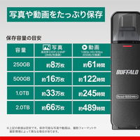 バッファロー USB3.2TypeーC/A高速帯 スティック型SSD 1.0TB ブラック SSD-SDH1.0U3-BA 1個