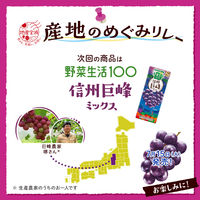 カゴメ 野菜生活100 シークヮーサーミックス 195ml 1箱（24本入）