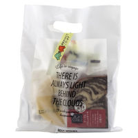 ニチバン ストアテープ（大巻）簡易包装 森の湖畔 ST-I 1巻