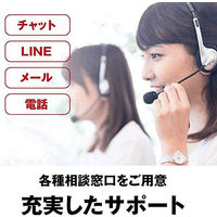 NAS（ネットワークハードディスク）12TB 2ドライブ リンクステーション HDD LS220D1202G 1台 バッファロー（直送品）