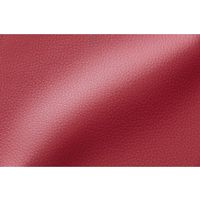 セルタン ドックステップ 2段RE A385-596/602RE 1台（直送品）