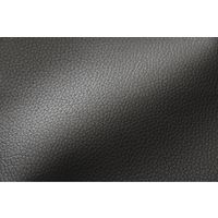 セルタン ドックステップ 2段BK A385-597/602BK 1台（直送品）