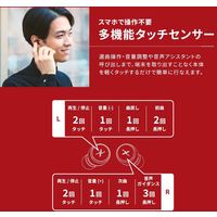 LIVIL audio 完全ワイヤレスイヤホン 完全独立型 Bluetooth イヤフォン LIV110 Qualcomm スノーホワイト（直送品）