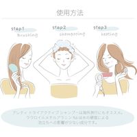 Areti（アレティ） ヒートガード シャンプー 熱 ダメージケア 保湿 補修（直送品）