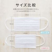 MSソリューションズ 不織布マスク ふつうサイズ 50枚入り PL-FM03WH50EF 2箱（直送品）