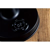 アピックスインターナショナル サーキュレーションファン AFC-948R 1個（直送品）