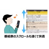 パナソニック ブルーレイディスクレコーダー DMR-2W51 1台