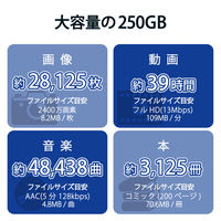 SSD 外付け 250GB ノック式 USB3.2(Gen1) 小型 ブラック ESD-EPK0250GBK エレコム 1個