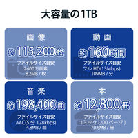 SSD 外付け 1TB ノック式 USB3.2(Gen1) 小型 ブラック ESD-EPK1000GBK エレコム 1個（直送品）