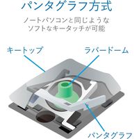 ワイヤレスキーボード 無線 テンキー付き コンパクト パンタグラフ 薄型　ホワイト TK-FDP099TWH エレコム 1個（直送品）