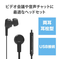 ヘッドセット マイク付イヤホン 両耳 カナル型 USB接続 ミュートスイッチ付 HS-EP17UBK 1個 エレコム（直送品）