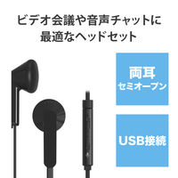ヘッドセット マイク付イヤホン 両耳 セミオープン型 USB接続 ミュートスイッチ付 HS-EP19UBK 1個 エレコム（直送品）