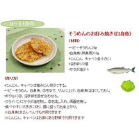 （5ヵ月頃から）はくばく ベビーそうめん 1袋（100g）×10）  ベビーフード  離乳食