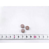 サラシア100 約20日分(60粒入り)【小林製薬の特定保健用食品】 1袋