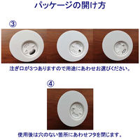 クリスタルキンガ　ポーランド産岩塩　250g