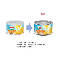 ドール マンゴーチャンク（季節限定商品） 234g 24缶