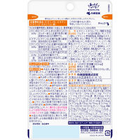 マルチビタミン ミネラル 必須アミノ酸 約30日分(120粒入り)【小林製薬の栄養補助食品】 1セット（3袋） サプリメント