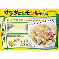 ポッカサッポロ　ポッカレモン100 70ml プラボトル　1セット（3個）