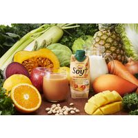 カゴメ 野菜生活Soy+ オレンジ・マンゴーMix 330ml 1セット（24本）
