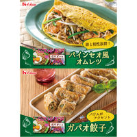 ハウス食品 ごちレピライス ガパオソース 140g 10個