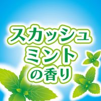 コバエコナーズ　ゴミ箱用　スカッシュミントの香り　腐敗抑制プラス 1セット（3個入） KINCHO キンチョー