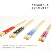 箸 ほんとうにすべらないお箸 ちどり柄RD 介護 高齢者 1膳