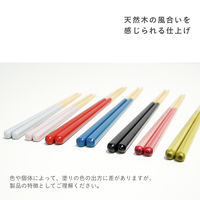 箸 子供用 ほんとうにすべらないお箸 子供用グレージュGY  1膳